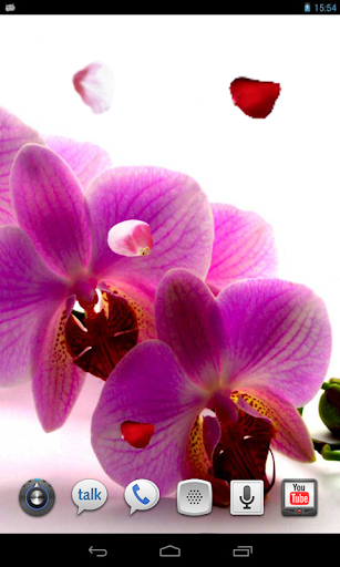 Amazing Orchids live wallpaper