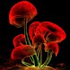 3D red Mushrooms
