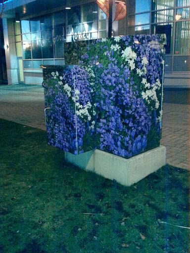 Purple Flowers Box