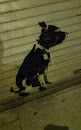Dog Graffiti 