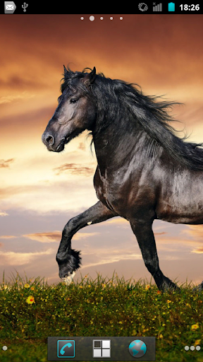 免費下載個人化APP|Horses HQ Live Wallpaper app開箱文|APP開箱王