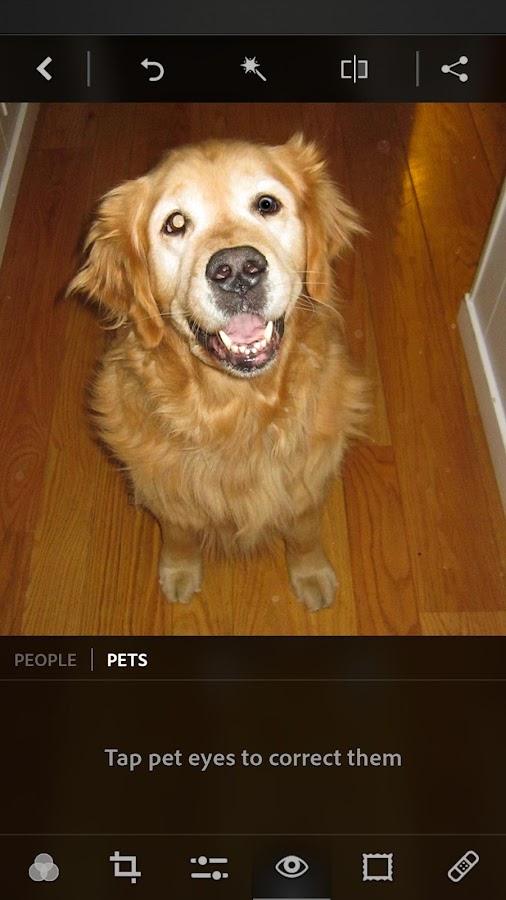    Adobe Photoshop Express- screenshot  