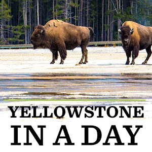 Yellowstone in a Day.apk 1.0