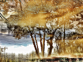 Esse é um pequeno estudo sobre a realidade e seus reflexos. Cada um enxerga aquilo que é fruto de sua bagagem de vida. Onde muitos veem um rio poluído, eu vejo a possibilidade de recuperação! by Regina Bressan -  