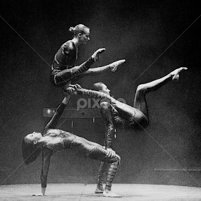 Circus Hand Balancing Acrobats by Stephen Beatty - News & Events Entertainment