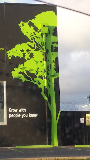 Grow With People You Know Tree Mural