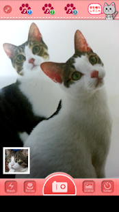 Neko Neko Camera Screenshots 2