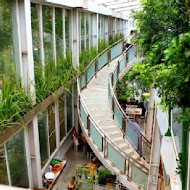 香草菲菲 芳香植物博物館