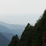 台灣農林熊空茶園