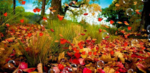 Autumn Pro Live Wallpaper APK