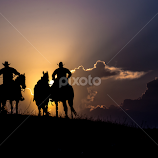 Evening Ropers by Gary Hanson -  
