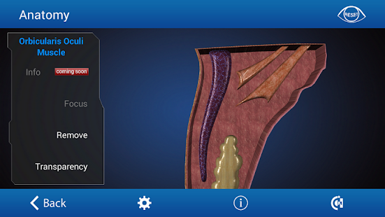 Free Download Ophthalmology in Dogs (Free) APK for Android