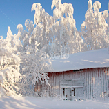 Finnish winter by Mia Ikonen -  