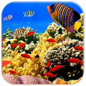 3D Fish live wallpaper logo
