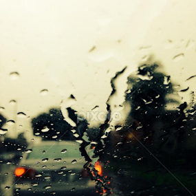 by Mamdouh Ahmed - Landscapes Weather