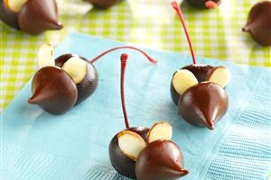Cherry Mice