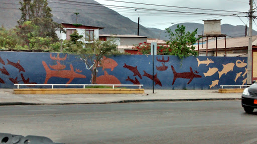 Mural Fauna Marina