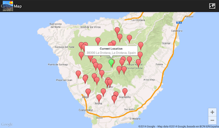 In Sight - The Canaries poster 5