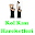 Kol Kası Hareketleri Download on Windows