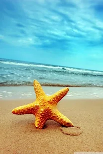 Beach Hd Wallpaper Android Apps On Google Play