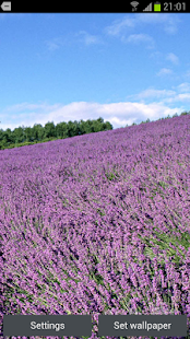 Lavender 3D Live Wallpaper