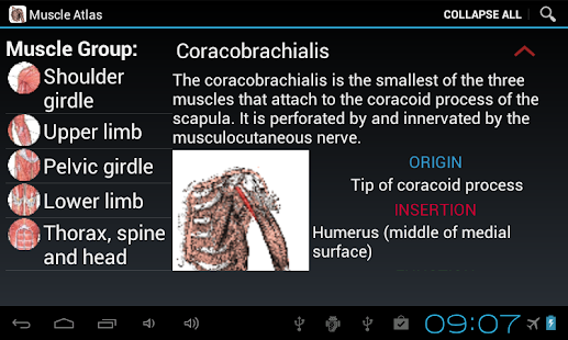 【免費健康App】Anatomy: Atlas of Muscles-APP點子