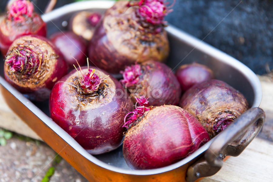 Beetroot by John Loydall - Food & Drink Fruits & Vegetables