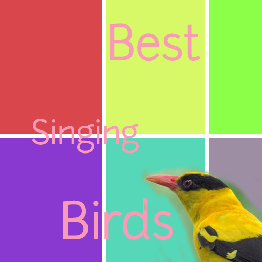 Best Singing Birds Recommend