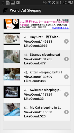 【免費娛樂App】寝ている猫動画☆ World Cat Sleeping-APP點子