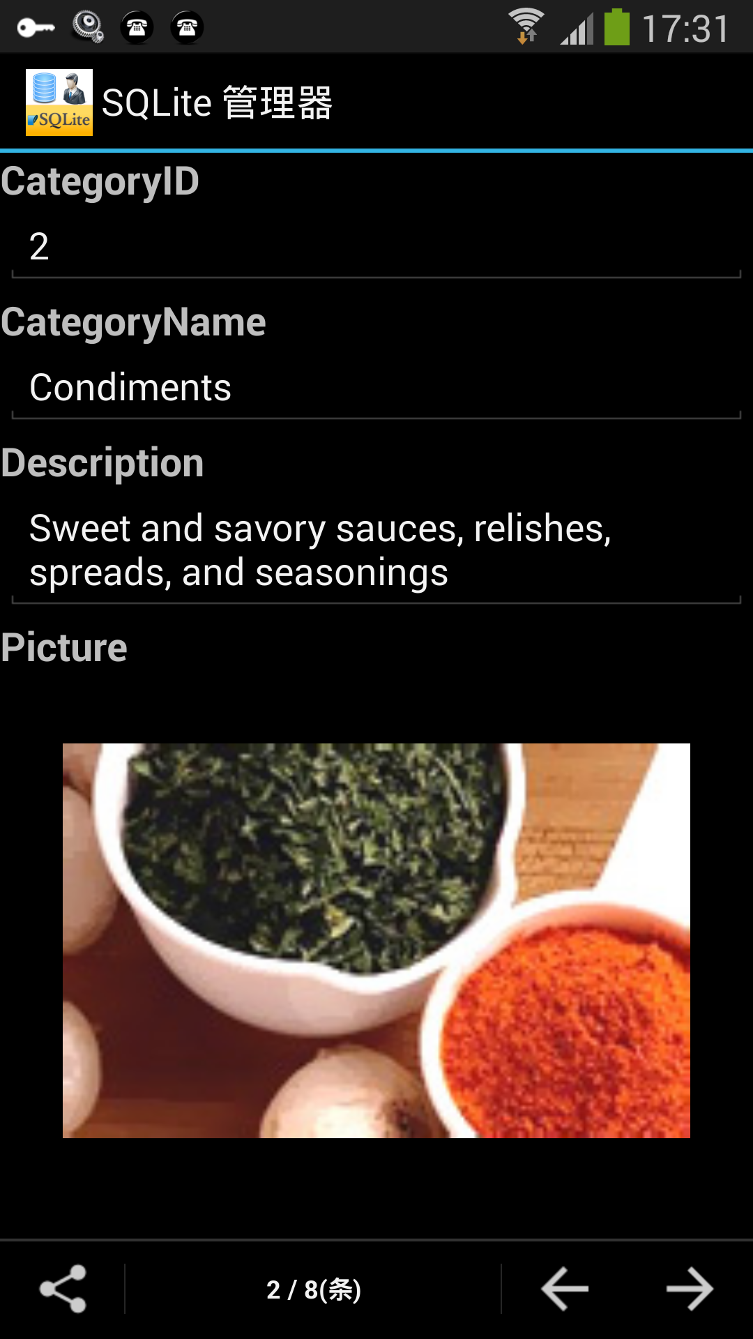 Android application SQLite Manager Pro screenshort
