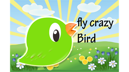 fly crazy bird