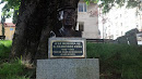 Busto Francisco Peña