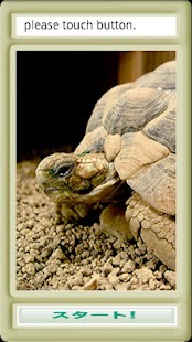 Free Download エジプトリクガメパズル APK for Android