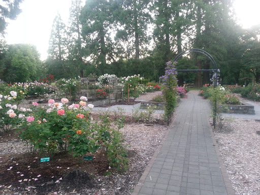 Corvallis Rose Garden at Avery Park