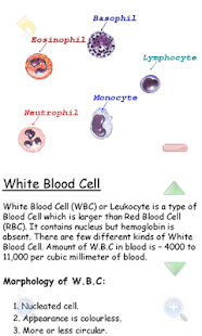 免費下載醫療APP|Blood Physiology - [ No Ads ] app開箱文|APP開箱王