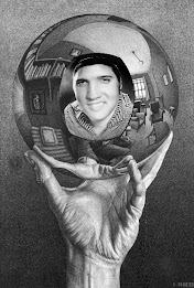 Reflecting Sphere selfie poster 1