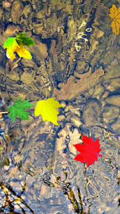 Toddler Game Water Ripple Leaf Screenshots 7
