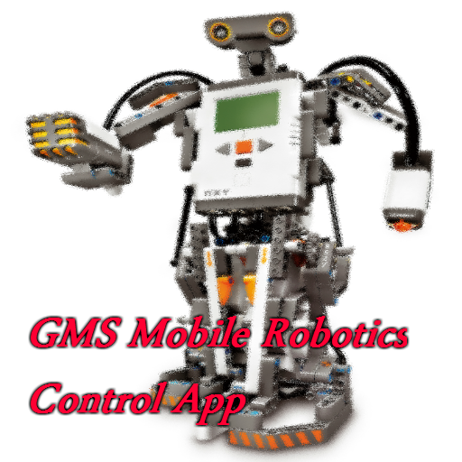 GMS NXT Control D Type 1.0