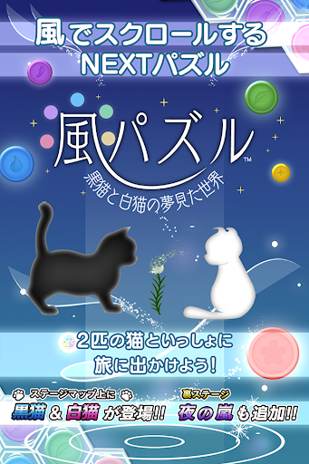 風パズル 黒猫と白猫の夢見た世界