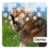 More Dog Jigsaw Puzzles Demo