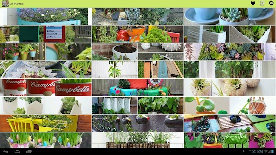 DIY Planters Ideas Screenshots 2