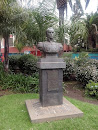 Busto Al Liberador De Venezuela Simon Bolivar
