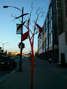 Orange Metal Tree Downtown