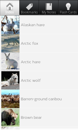 Arctic Animals Wildlife