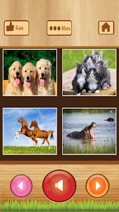 download Belajar bahasa inggris free