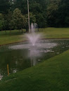 Fontana Golf 2