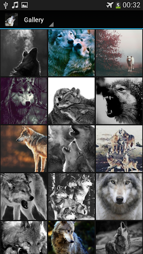 【免費個人化App】Wolves Live Wallpaper-APP點子