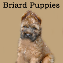 Briard Puppies logo