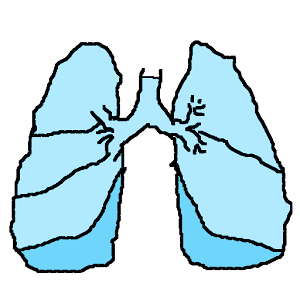 Medical Tools Pro logo