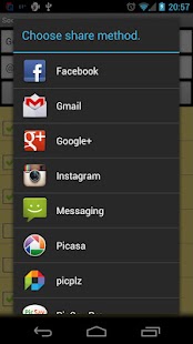 Download Social Network Violation APK